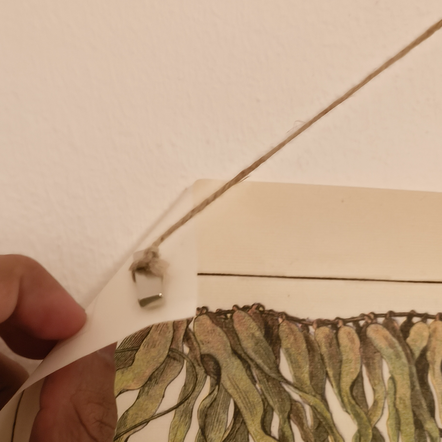 Close magnet