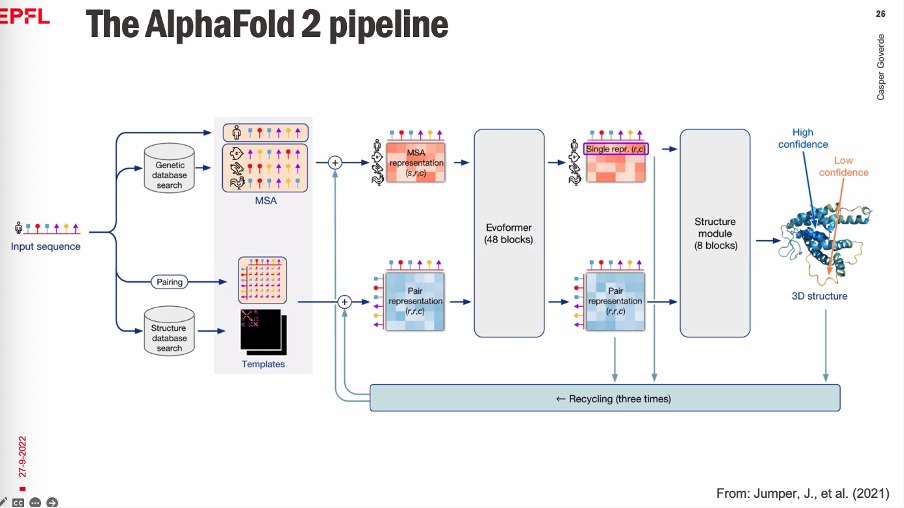 Alphafold PipeLine (credits Casper)